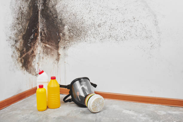 Water Damage Restoration in Ridgebury, CT