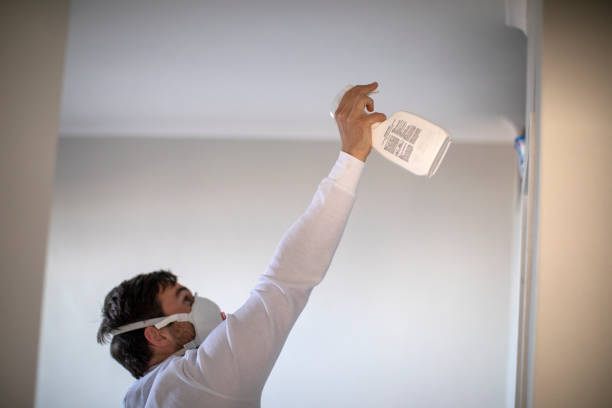 Best Residential Mold Removal  in Ridgebury, CT