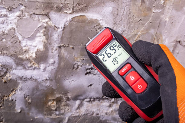 Best Mold Removal and Inspection  in Ridgebury, CT