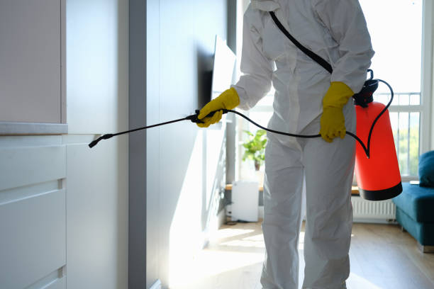 Best Mold Testing and Removal  in Ridgebury, CT