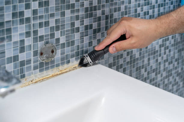 Best Mold Cleaning Services  in Ridgebury, CT