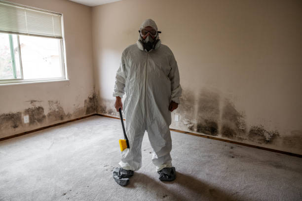 Crawl Space Mold Removal in Ridgebury, CT